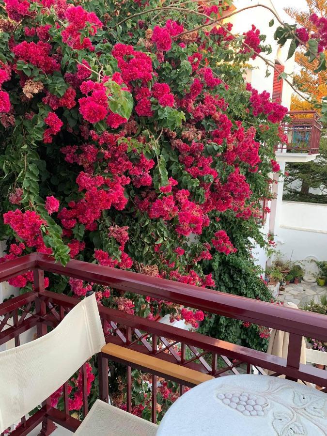 Akrogiali Hotel Agios Sostis  Exterior foto